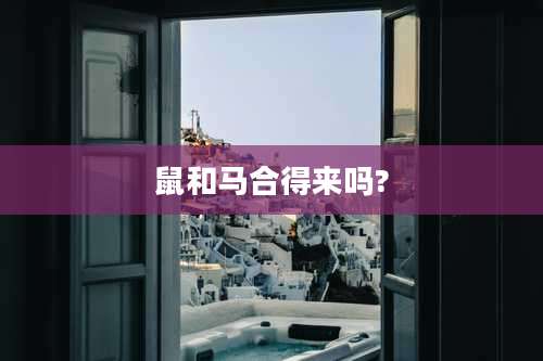 鼠和马合得来吗?