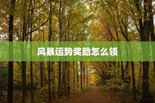 风暴运势奖励怎么领