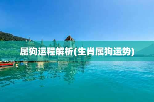 属狗运程解析(生肖属狗运势)