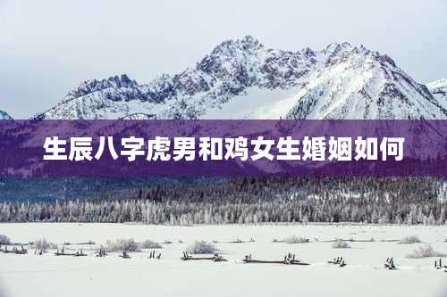生辰八字虎男和鸡女生婚姻如何