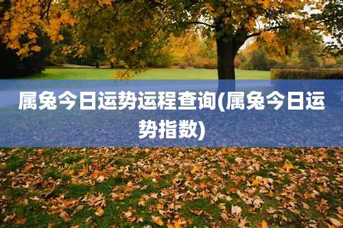 属兔今日运势运程查询(属兔今日运势指数)