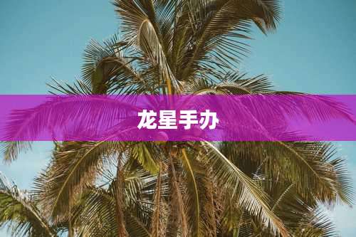 龙星手办