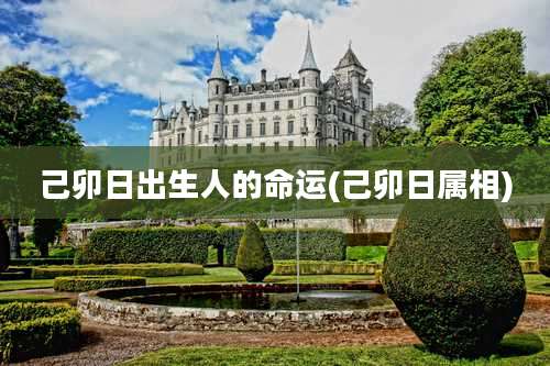 己卯日出生人的命运(己卯日属相)