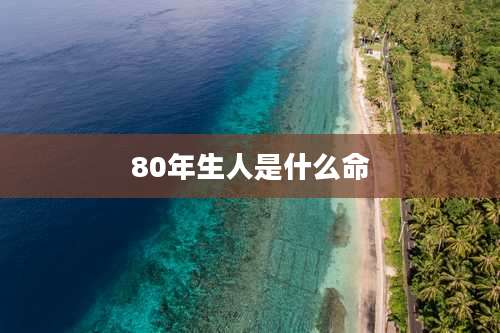 80年生人是什么命