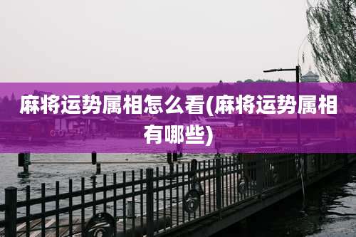 麻将运势属相怎么看(麻将运势属相有哪些)