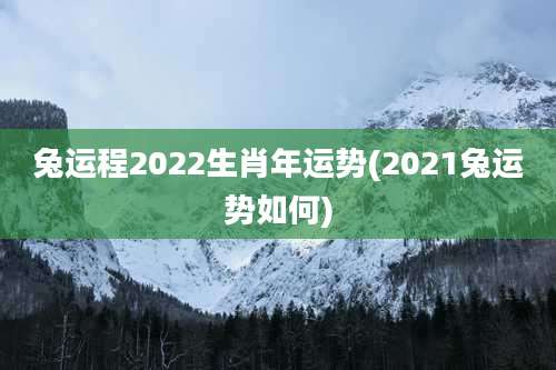 兔运程2022生肖年运势(2021兔运势如何)