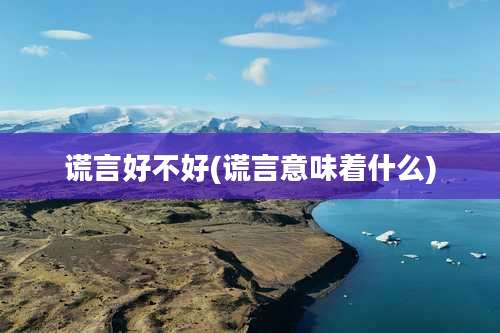 谎言好不好(谎言意味着什么)