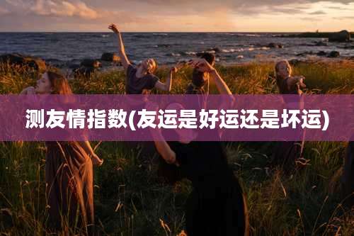 测友情指数(友运是好运还是坏运)