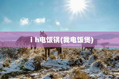ⅰh电饭锅(我电饭煲)
