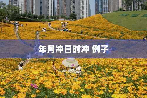 年月冲日时冲 例子