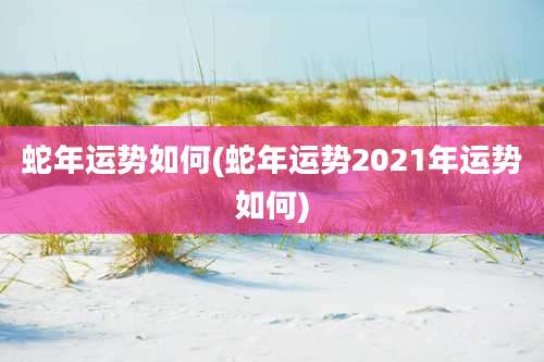 蛇年运势如何(蛇年运势2021年运势如何)