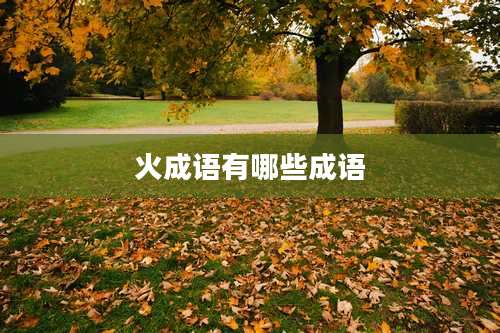 火成语有哪些成语
