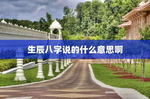生辰八字说的什么意思啊