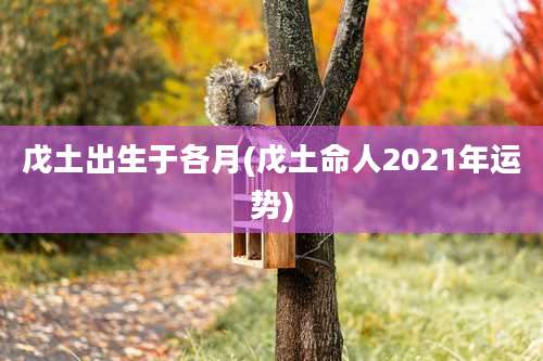戊土出生于各月(戊土命人2021年运势)