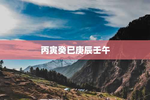 丙寅癸巳庚辰壬午