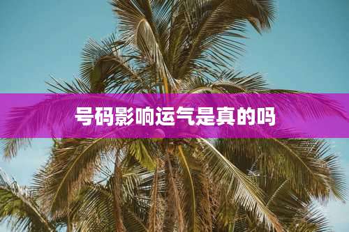 号码影响运气是真的吗