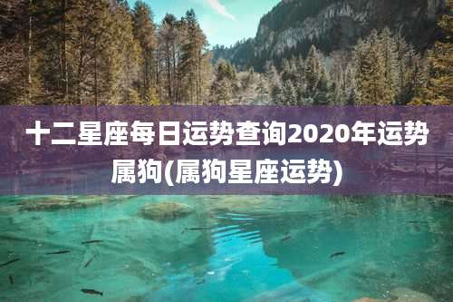 十二星座每日运势查询2020年运势属狗(属狗星座运势)