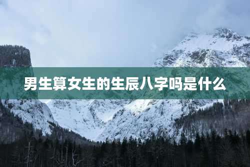 男生算女生的生辰八字吗是什么