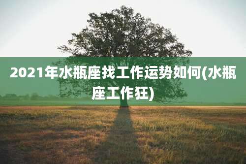 2021年水瓶座找工作运势如何(水瓶座工作狂)