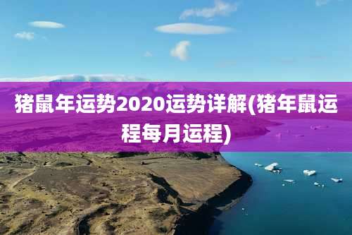 猪鼠年运势2020运势详解(猪年鼠运程每月运程)