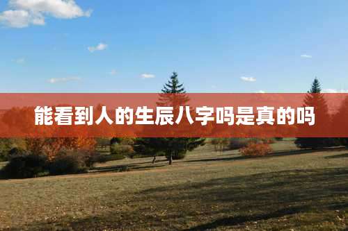 能看到人的生辰八字吗是真的吗