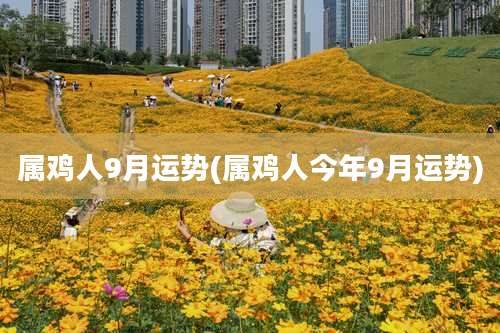 属鸡人9月运势(属鸡人今年9月运势)