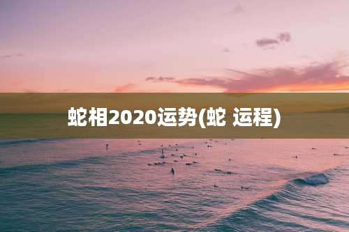 蛇相2020运势(蛇 运程)
