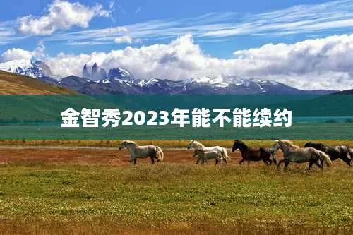 金智秀2023年能不能续约