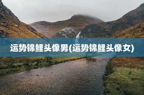 运势锦鲤头像男(运势锦鲤头像女)