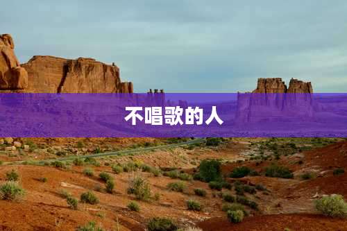 不唱歌的人
