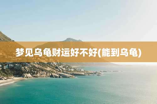 梦见乌龟财运好不好(能到乌龟)