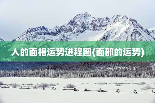 人的面相运势进程图(面部的运势)