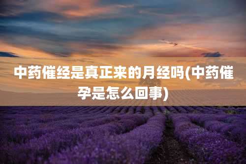 中药催经是真正来的月经吗(中药催孕是怎么回事)