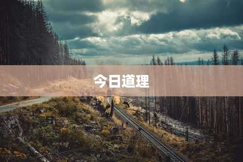 今日道理