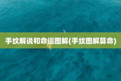 手纹解说和命运图解(手纹图解算命)