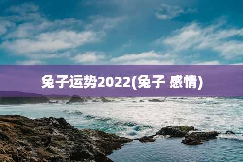 兔子运势2022(兔子 感情)