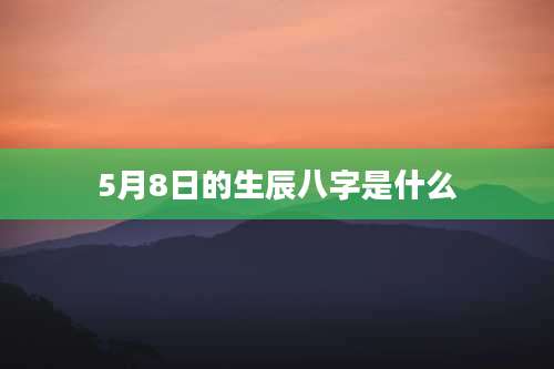 5月8日的生辰八字是什么