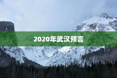 2020年武汉预言