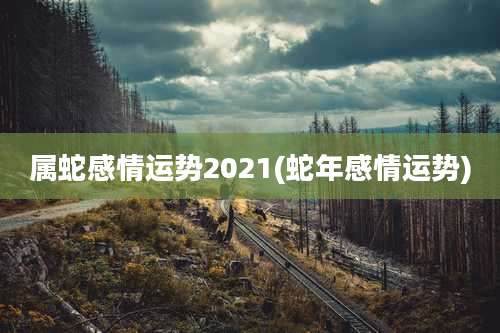 属蛇感情运势2021(蛇年感情运势)