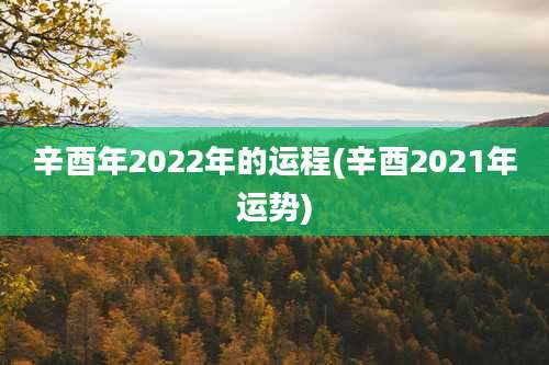 辛酉年2022年的运程(辛酉2021年运势)