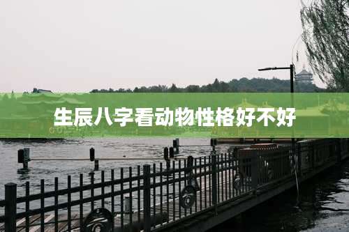 生辰八字看动物性格好不好