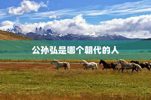 公孙弘是哪个朝代的人