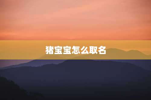 猪宝宝怎么取名