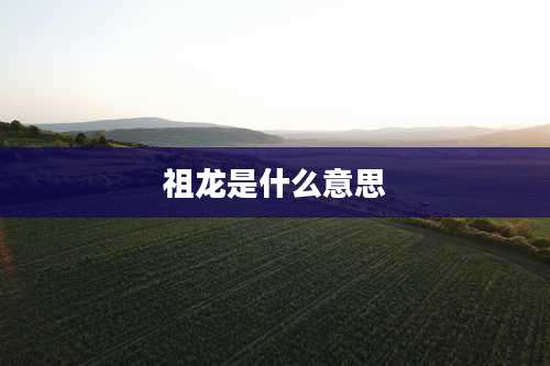 祖龙是什么意思