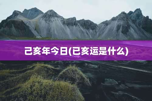 己亥年今日(已亥运是什么)