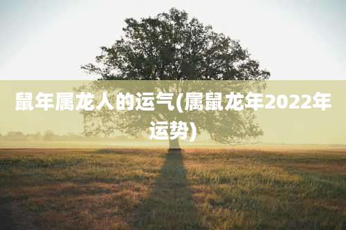 鼠年属龙人的运气(属鼠龙年2022年运势)