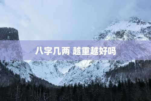 八字几两 越重越好吗