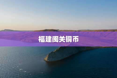 福建闽关铜币