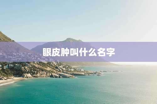 眼皮肿叫什么名字