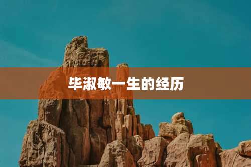 毕淑敏一生的经历